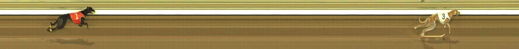 Race result finish photo